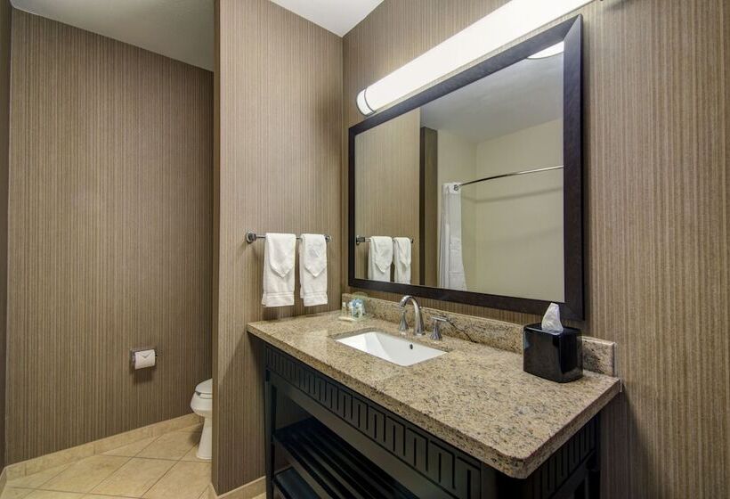 Suite Adaptada per a persones amb mobilitat reduïda, Holiday Inn Arlington Northeast, An Ihg