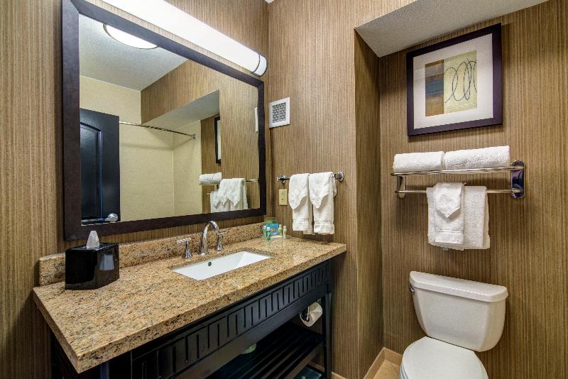 Habitació Estàndard, Holiday Inn Arlington Northeast, An Ihg