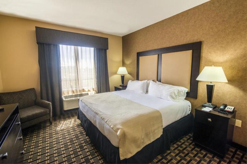 Habitació Estàndard Llit King, Holiday Inn Arlington Northeast, An Ihg