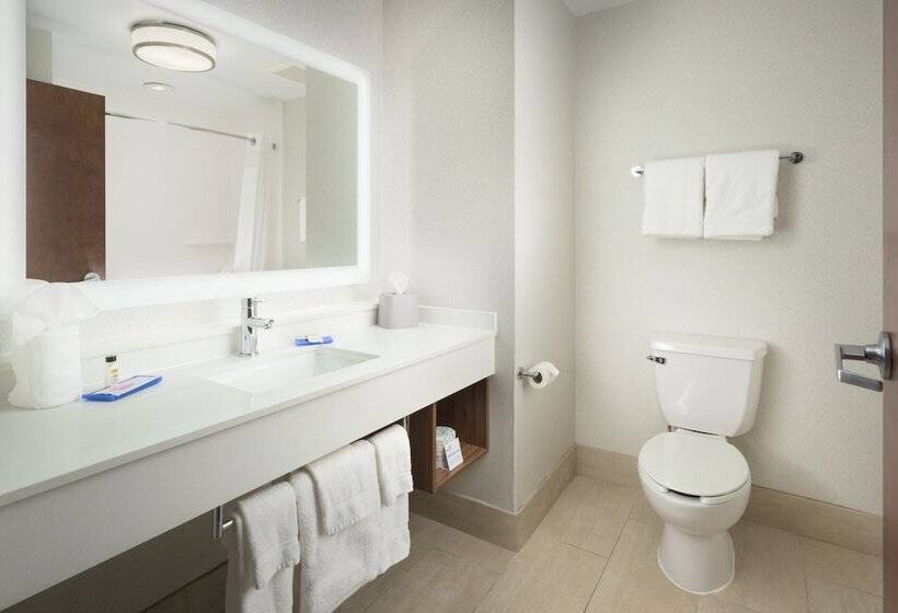 Suite Aangepast voor Gehandicapten, Holiday Inn Express Hotel & Suites Chattanooga Downtown, An Ihg