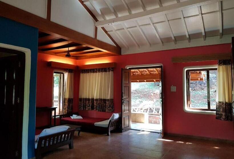 Студия Стандарт, Cherilyn Monta Resort
