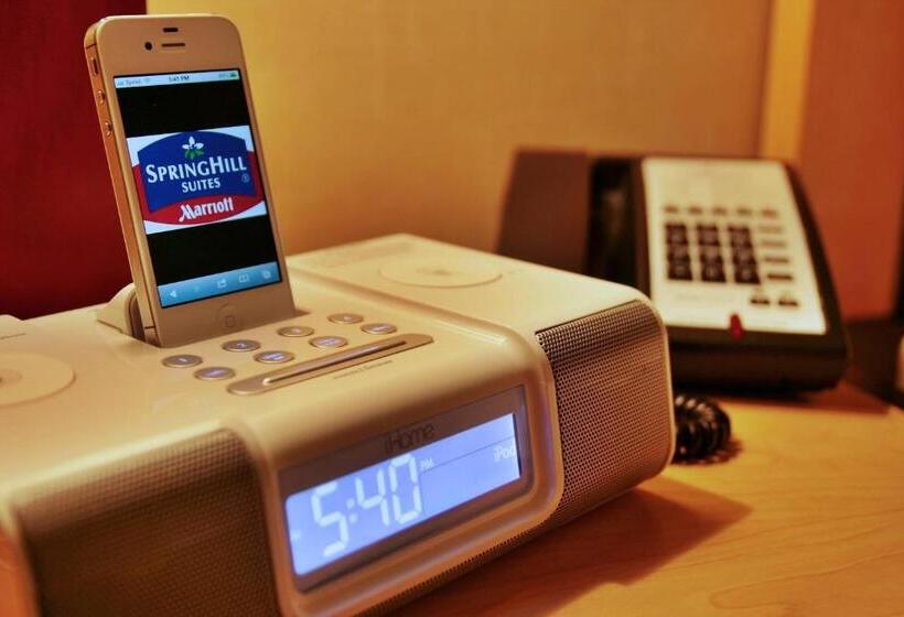 스위트 킹사이즈 침대, Springhill Suites By Marriott Pueblo Downtown