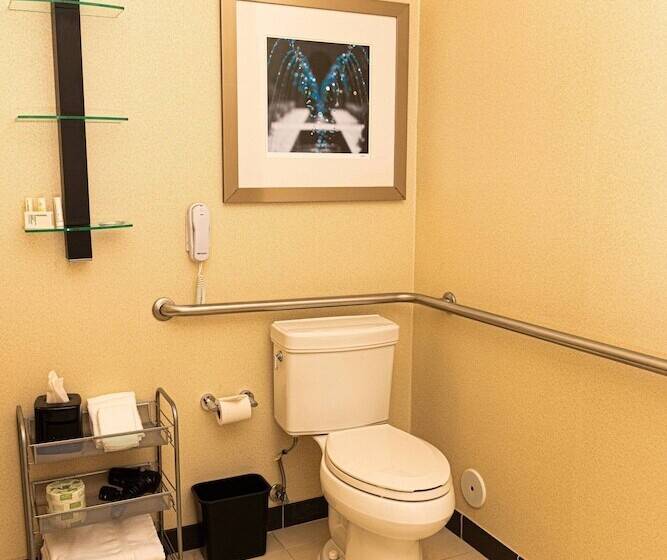 스위트, Springhill Suites By Marriott Pueblo Downtown