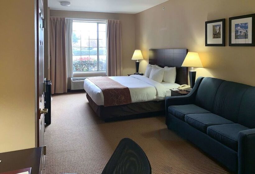 Люкс, Comfort Suites Roanoke   Fort Worth North