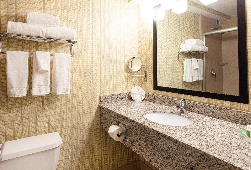 Номер Стандарт Адаптированный для Инвалидов, Holiday Inn St. Louis Airport West Earth City, An Ihg