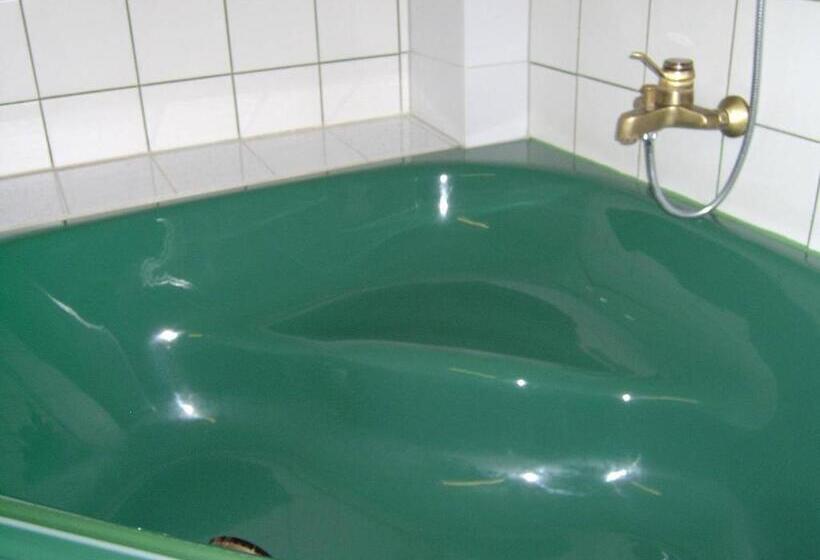Номер Стандарт Индивидуальный, Am Hallenbad Hotel Garni