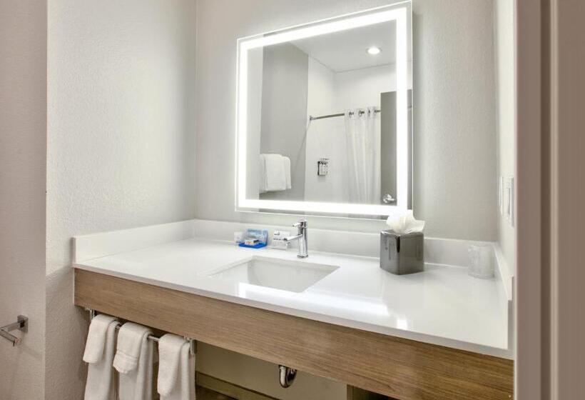 スイート, Holiday Inn Express & Suites North Dallas At Preston, An Ihg