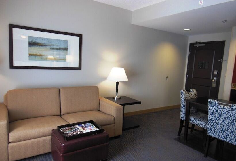 Suite Aangepast voor Gehandicapten, Homewood Suites By Hilton Louisvilleeast