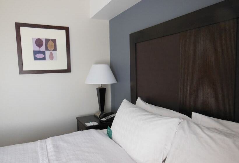 Suite Aangepast voor Gehandicapten, Homewood Suites By Hilton Louisvilleeast
