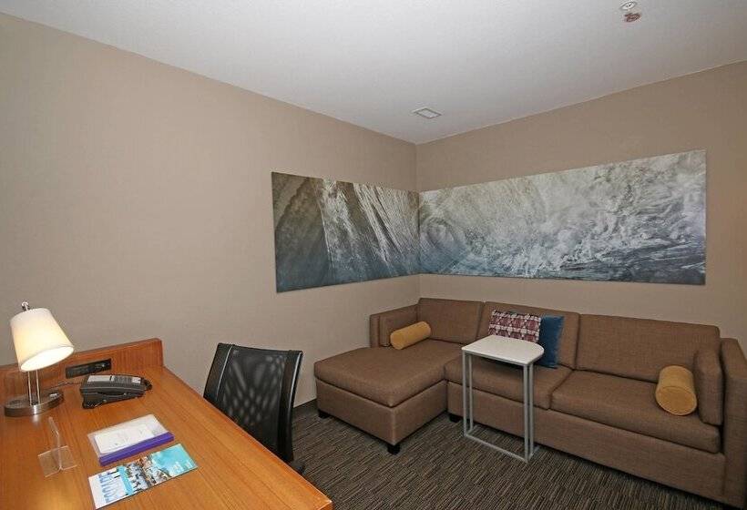스탠다드 스튜디오, Springhill Suites By Marriott Charleston North