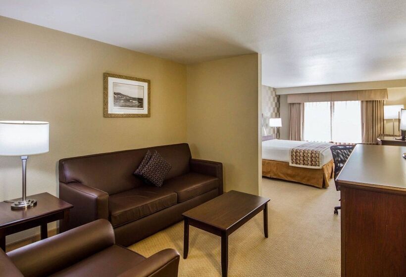 Люкс, Med Park, Ascend Hotel Collection