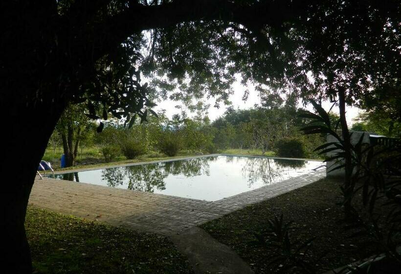 패밀리 룸, Finca La Julia