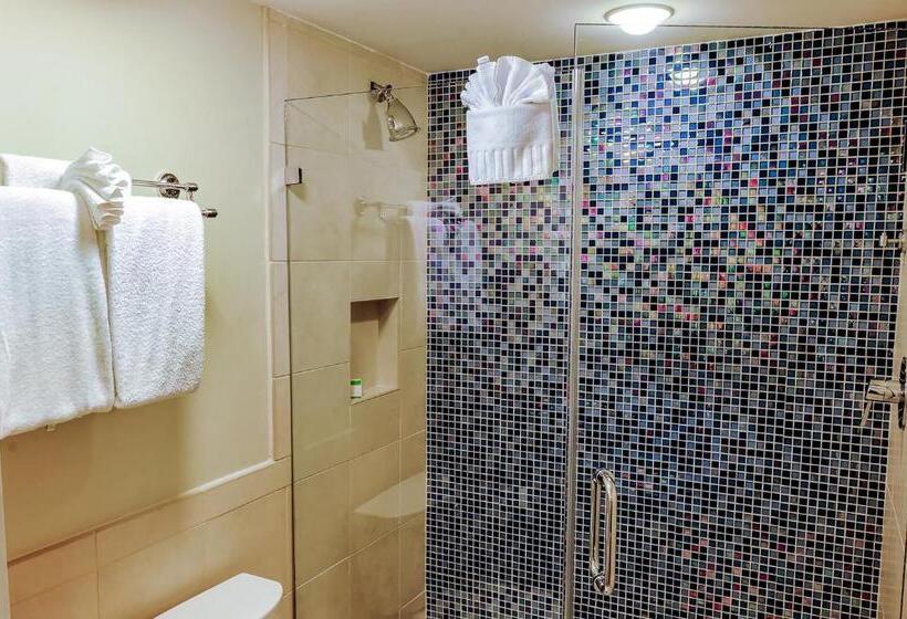 חדר סופריור עם מיטת קינג, Silver Palms Inn