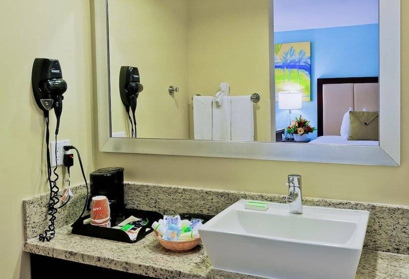 חדר סופריור עם מיטת קינג, Silver Palms Inn