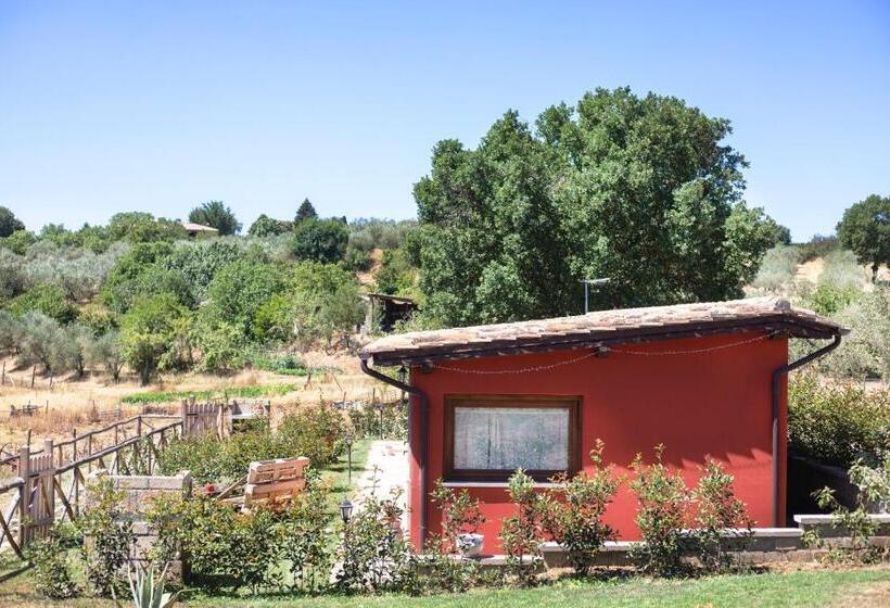 Бунгало Стандарт, Agriturismo Poggio Degli Ulivi