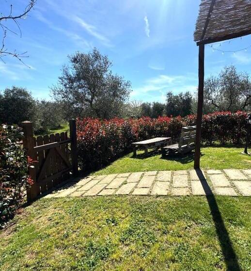Номер Стандарт, Agriturismo Poggio Degli Ulivi