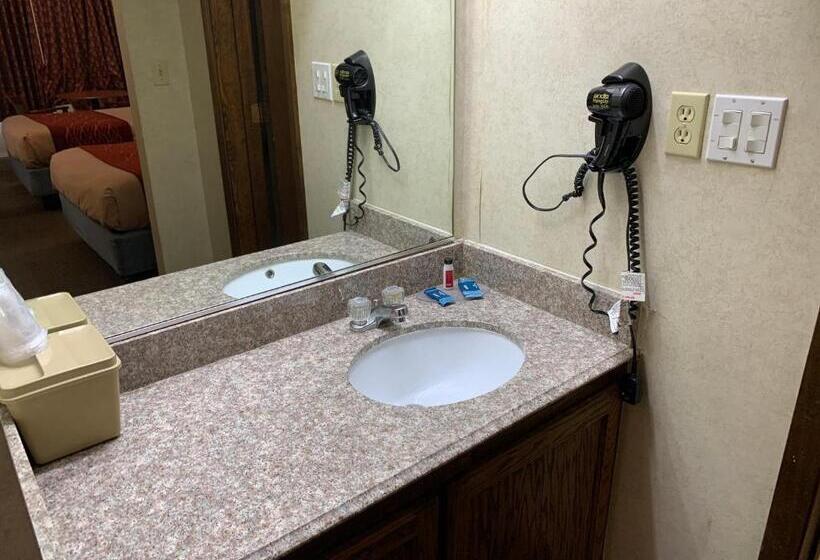 Номер Deluxe Одноместный, Coachman S Inn Motel