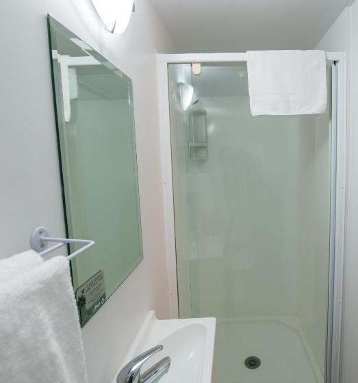 Четырехместный Номер Стандарт, The Park Hotel Ruapehu