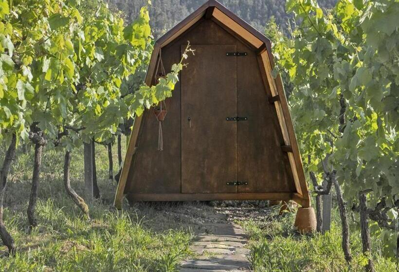 Standard Tent, Cimo Da Vinha   Nature Spot