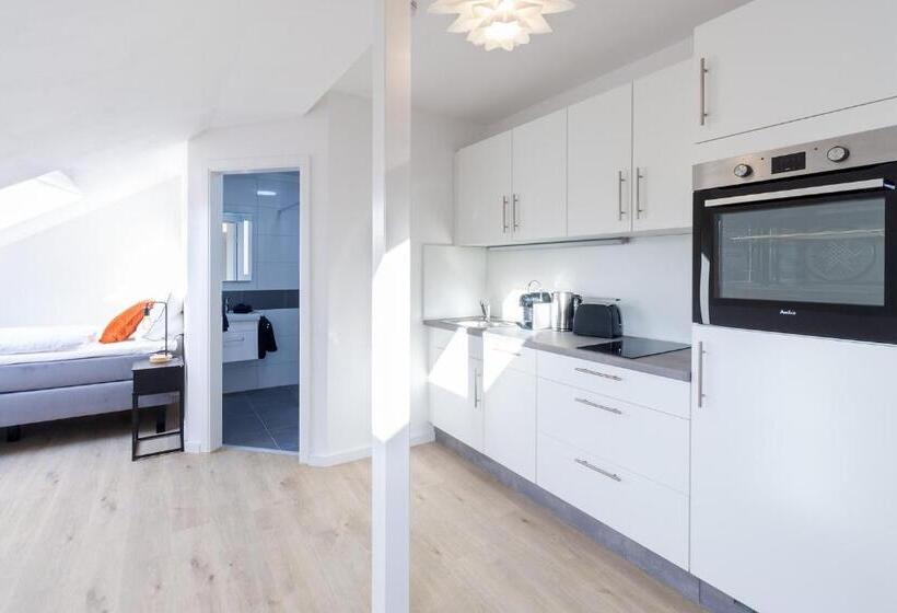 １ベッドルームのデラックスアパートメント, Stay@ma Boardinghouse Mannheim