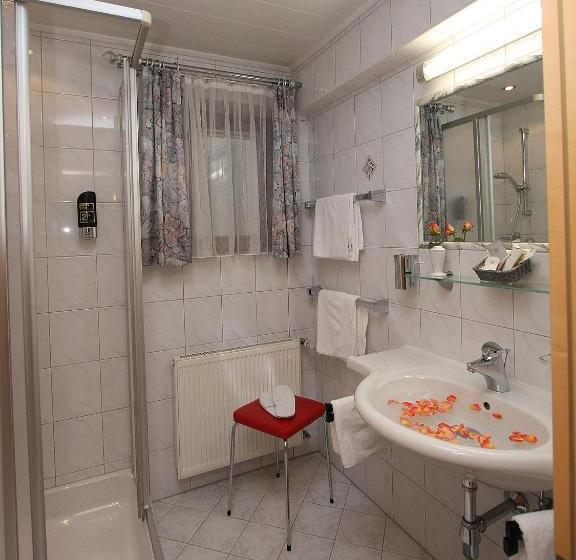 Номер Deluxe, Alphotel Garni Salner