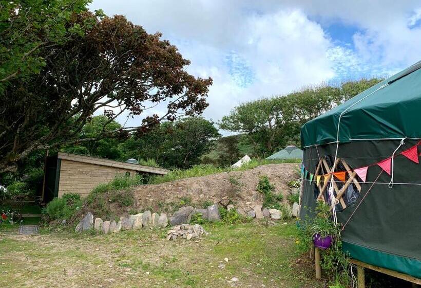 Standard Tent, Granville House Apartments & Glamping Site