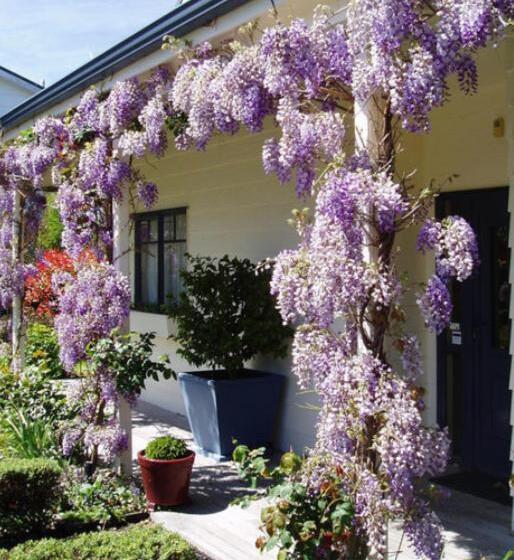 디럭스 룸, Olive Rabbit   Boutique Bed & Breakfast