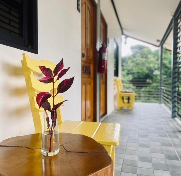 آپارتمان 1 خوابه با چشمانداز باغ, Hanoii House
