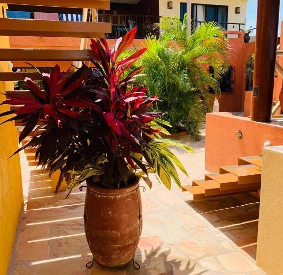 １ベッドルームペントハウスアパート, Villa La Joya