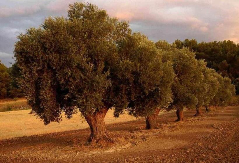 수피리어 룸, Casa Rural Restaurante Mas Del Rei