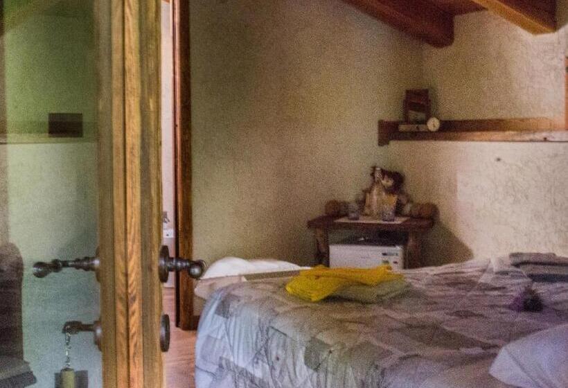 Номер Стандарт, Agri B&b Lou Col