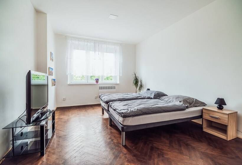 Апартаменты Superior 1 Спальня, Skodova Apartments