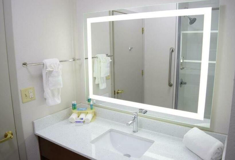 غرفة قياسية سرير كينج, Holiday Inn Express & Suites Pensacola West I 10, An Ihg
