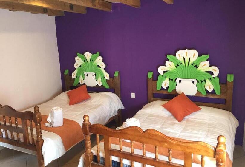 スタンダードルーム, Hacienda Encantada