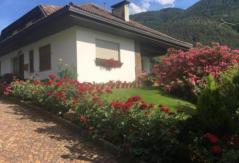 اتاق استاندارد با بالکن, Weingut Zundlhof