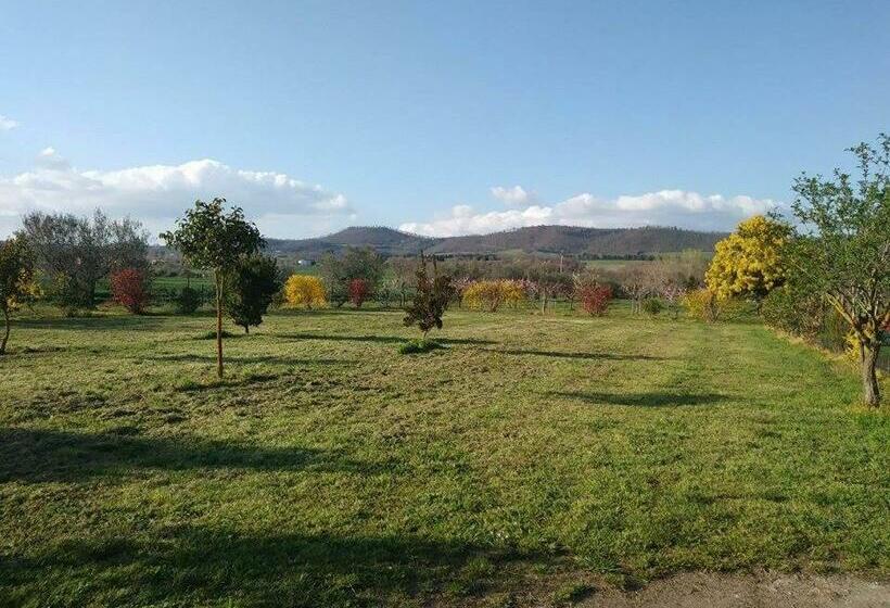 اتاق استاندارد سه تخته با چشم‌انداز باغ, La Fraschetta