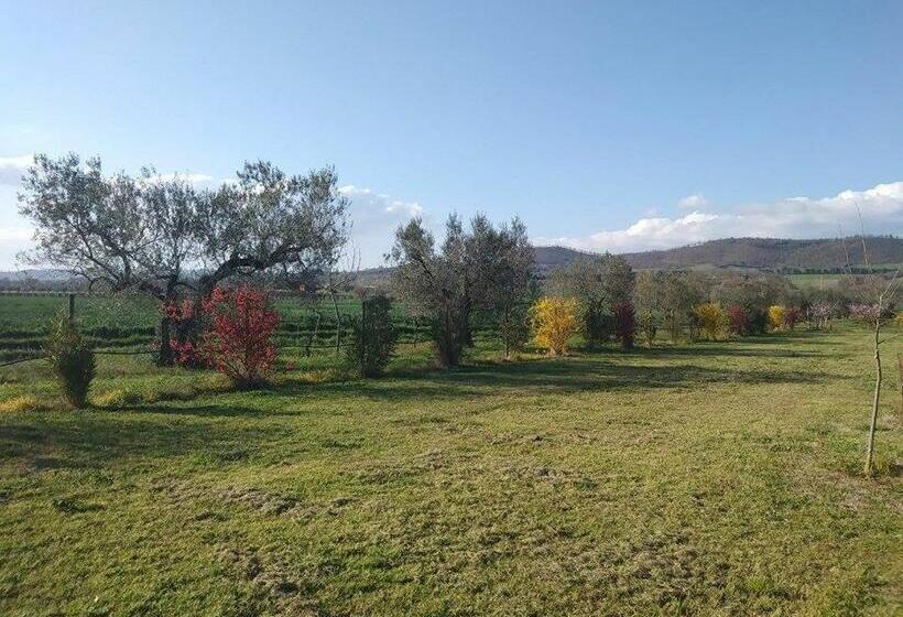 اتاق استاندارد با تخت بزرگ, La Fraschetta