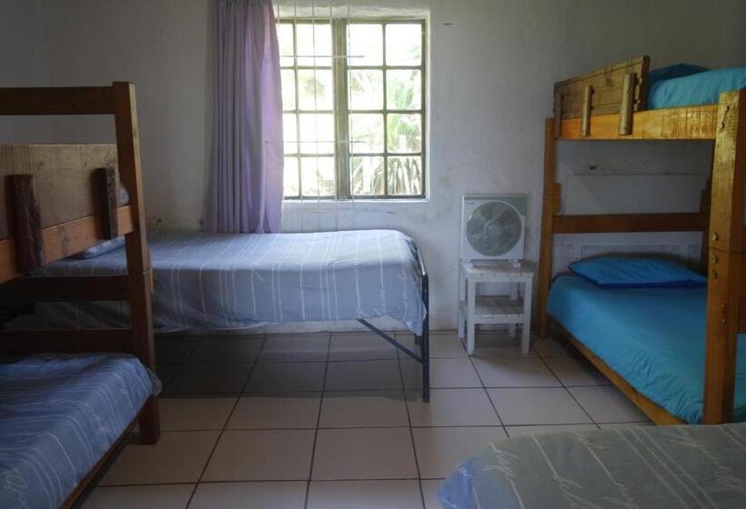 Бунгало Стандарт, Eagles Nest Hostel Plus Self Catering Private Units