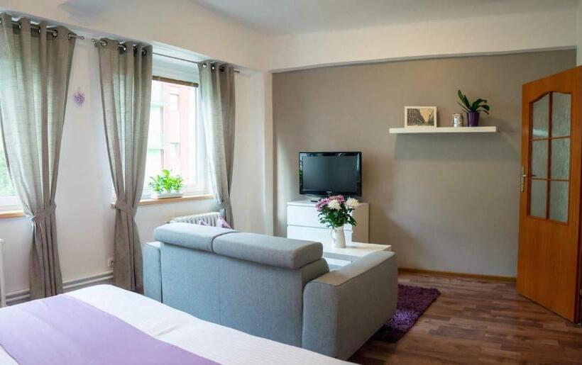 Апартаменты 1 Спальня, Penzion Staré Louny