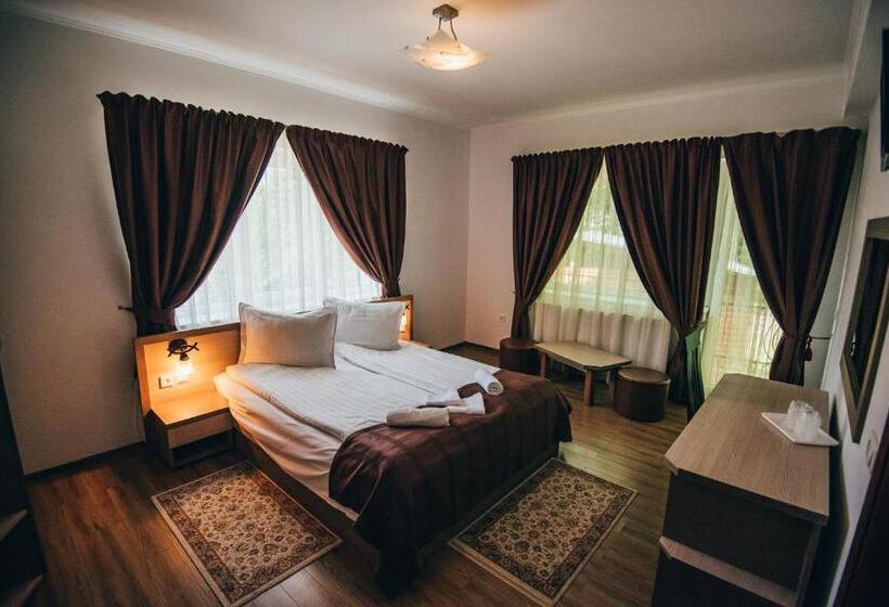 اتاق استاندارد, Szandy