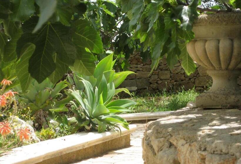 اتاق لوکس, Casa Veneri