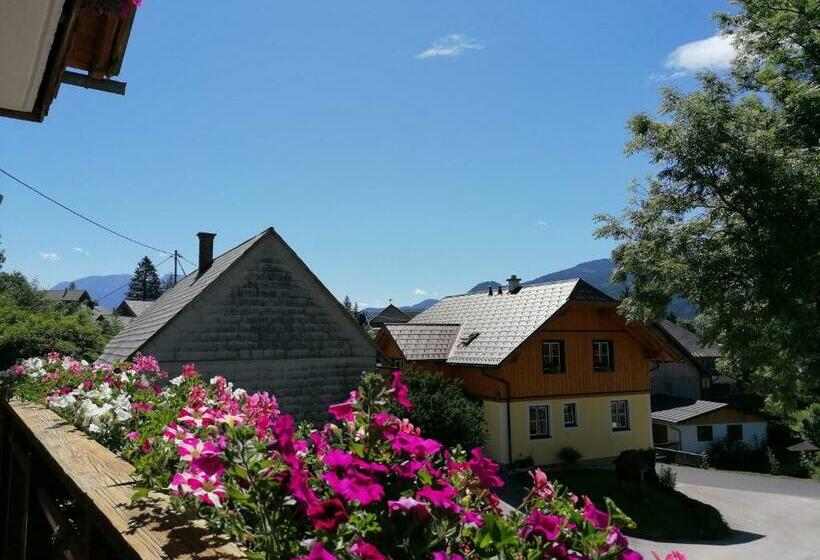 Номер Стандарт, Wagnerhof