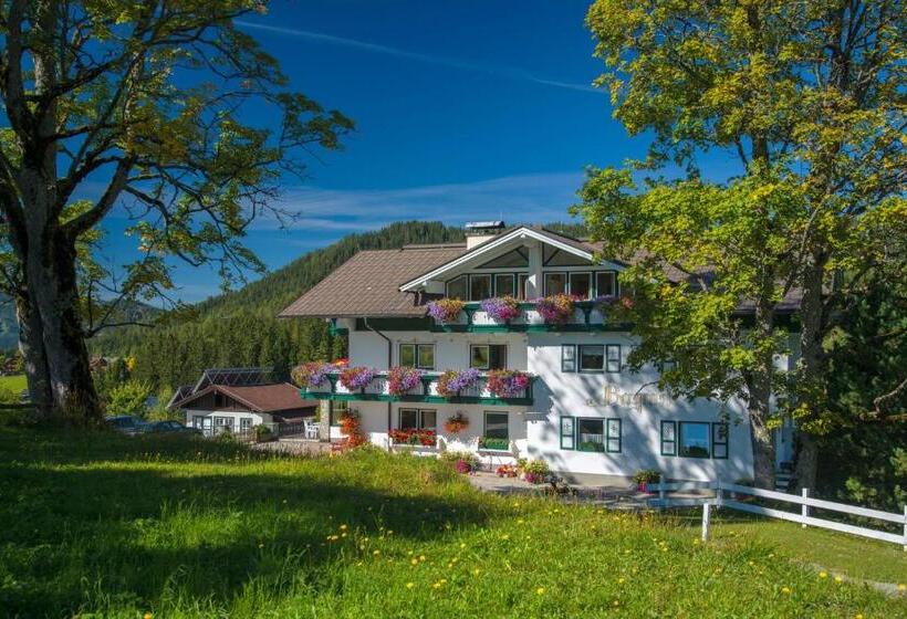 Студия Стандарт, Landhaus & Ferienwohnungen Bergrast