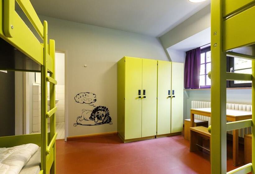 Кровать в Общей Комнате, Youth Hostel Würzburg