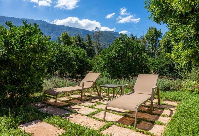 Номер Superior с Террасой, Finca Ca S Curial   Agroturismo   Adults Only