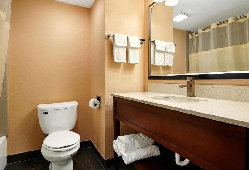 Номер Стандарт, Best Western Canton Inn