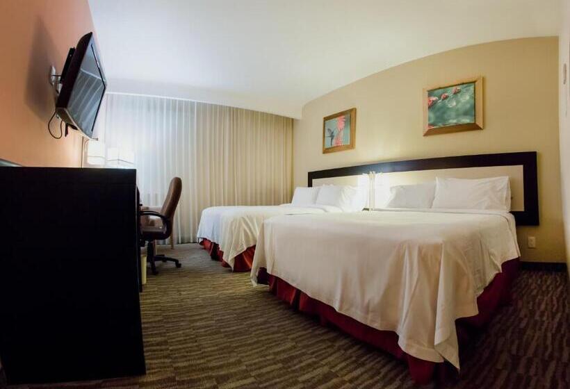 身障者適用スタンダードルーム, Excellence Express & Suites
