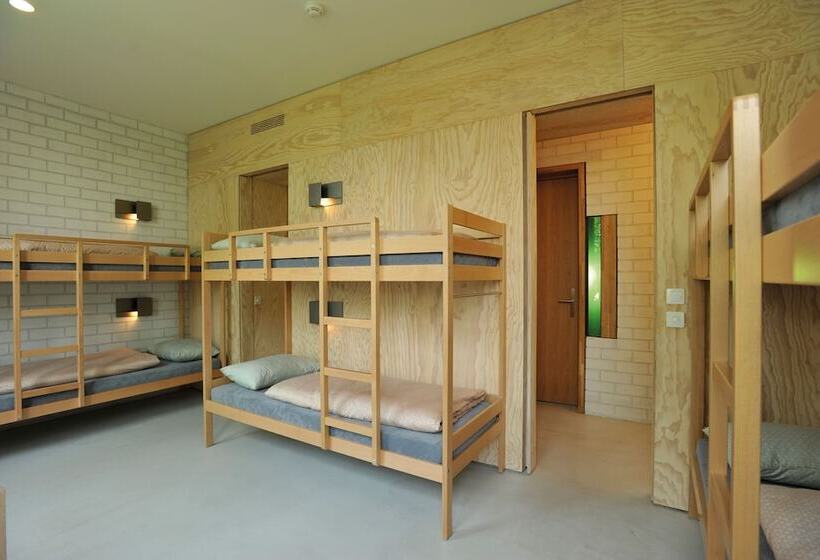 Номер Стандарт Совместная Ванная, Basel Youth Hostel