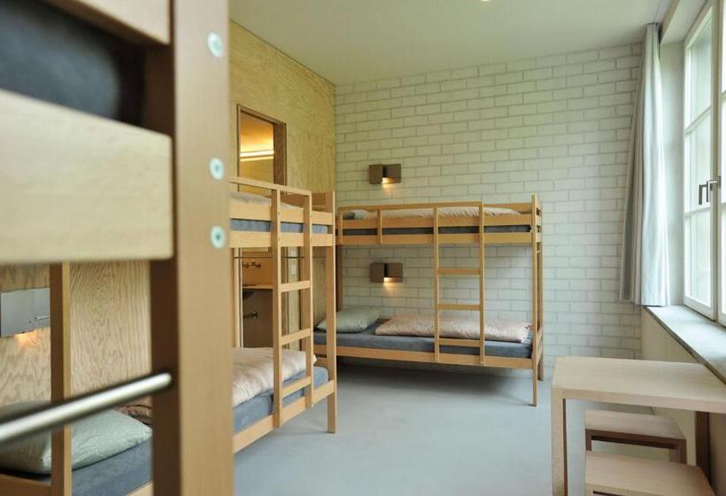 Кровать в Общей Комнате, Basel Youth Hostel