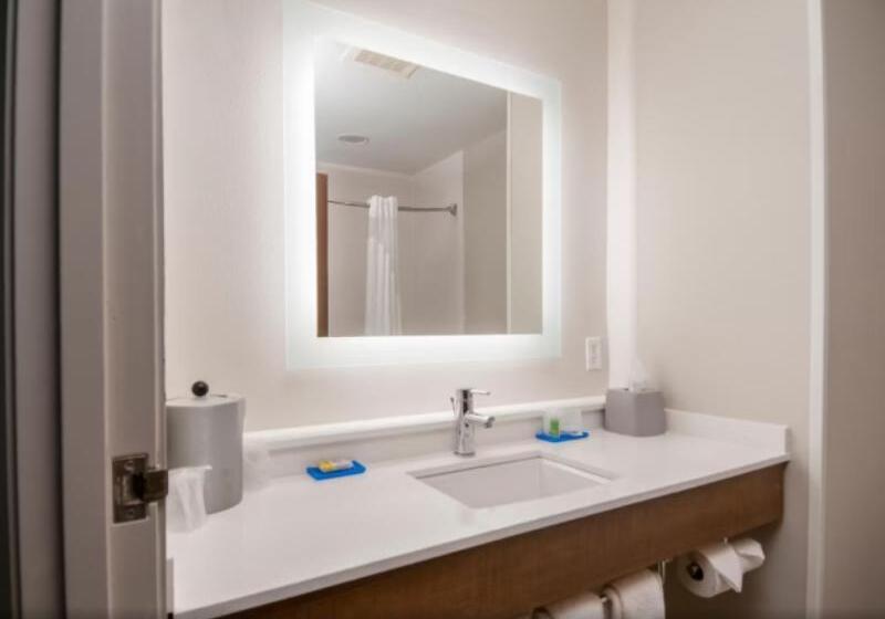 장애인을 위한 킹사이즈 침대 스탠다드 룸, Holiday Inn Express Hotel & Suites Biloxi  Ocean Springs, An Ihg